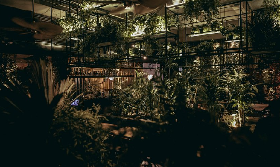 El Botánico